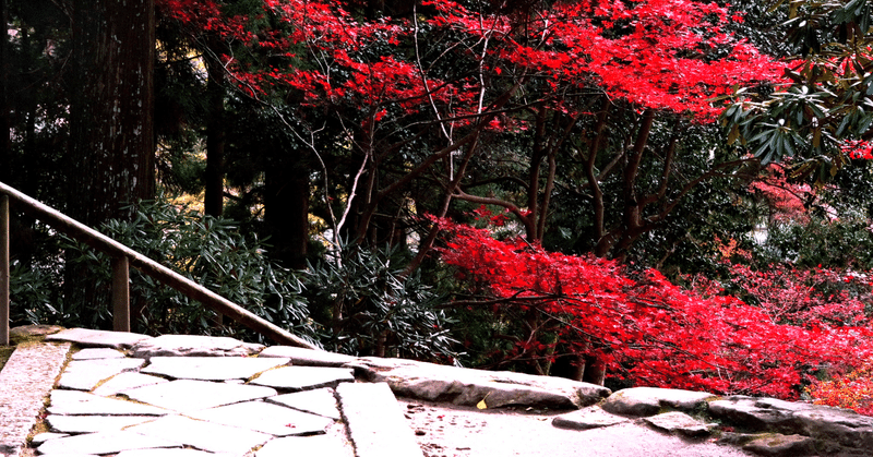 室生寺の紅葉〜2021-No1