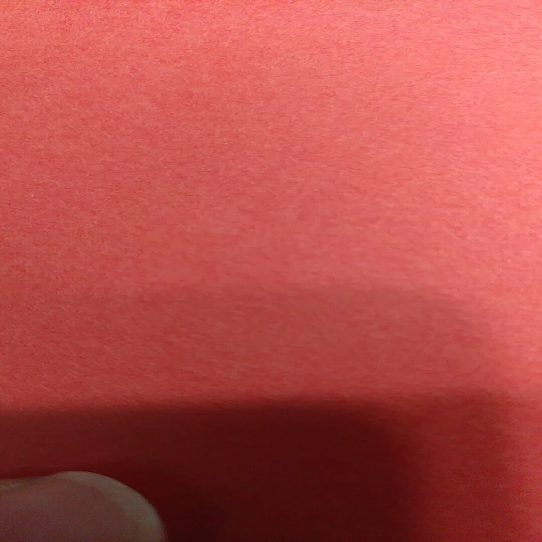 紙のはなし Ntスフール 森たまみ Note