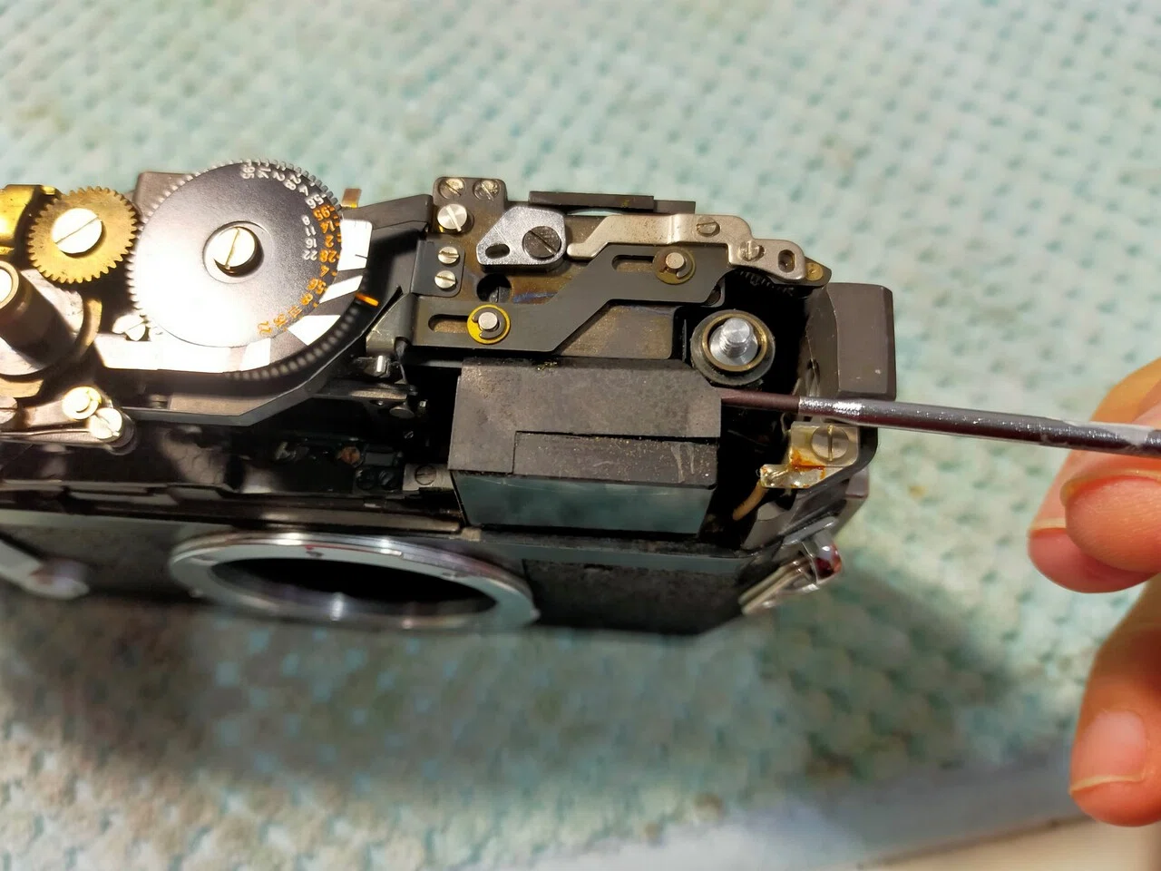 Canon 7 レンジファインダーの分解｜フィルムカメラ修理のアクアカメラ