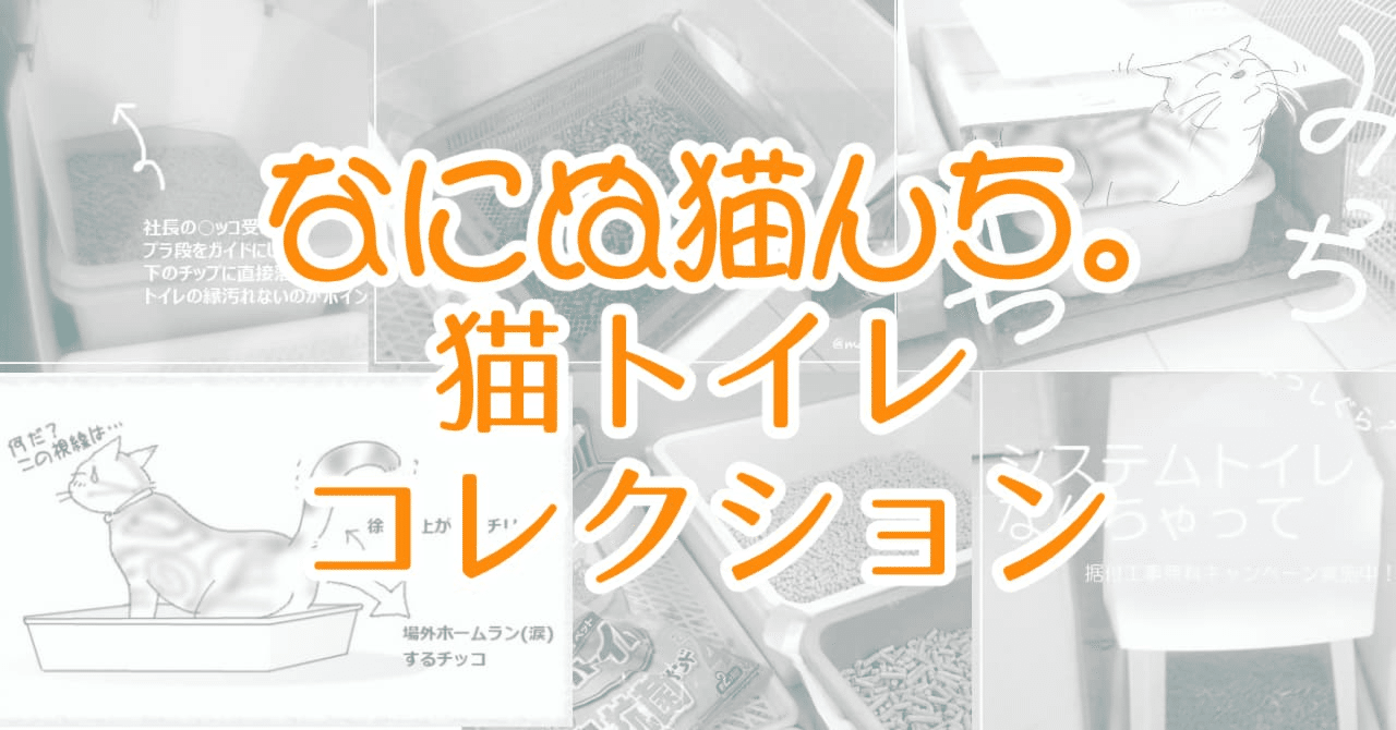 無ければ作る 猫トイレの変遷とdiy なにぬ猫 Note