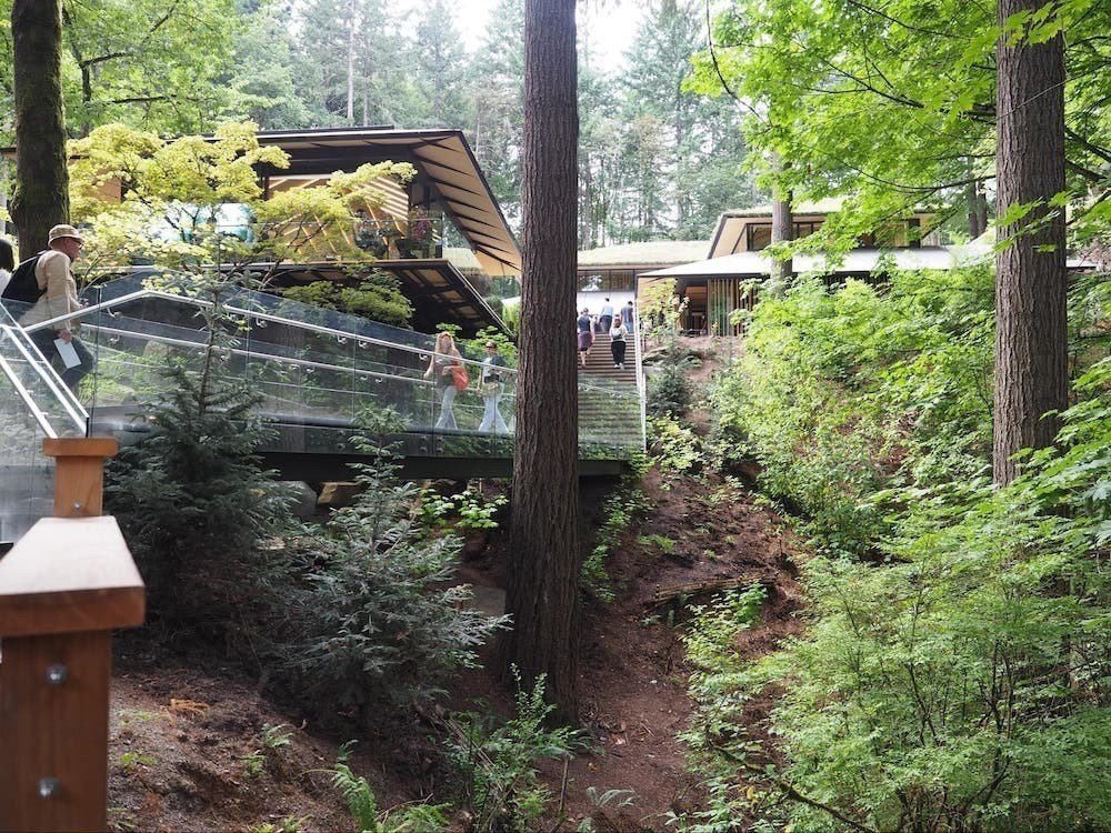 坪庭 日本の庭園 京都市 aotake 坪庭作庭 ぼんやりと庭を眺めるのに良い季節です
