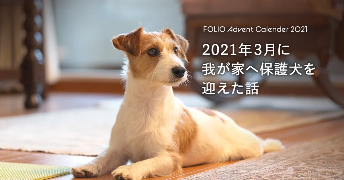 昨年の夏まで約半年使用していました。中型犬ボーダコリーに使用 昨年の夏まで約半年使用していました。中型犬ボーダコリーに使用