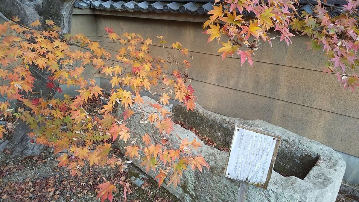 画像5