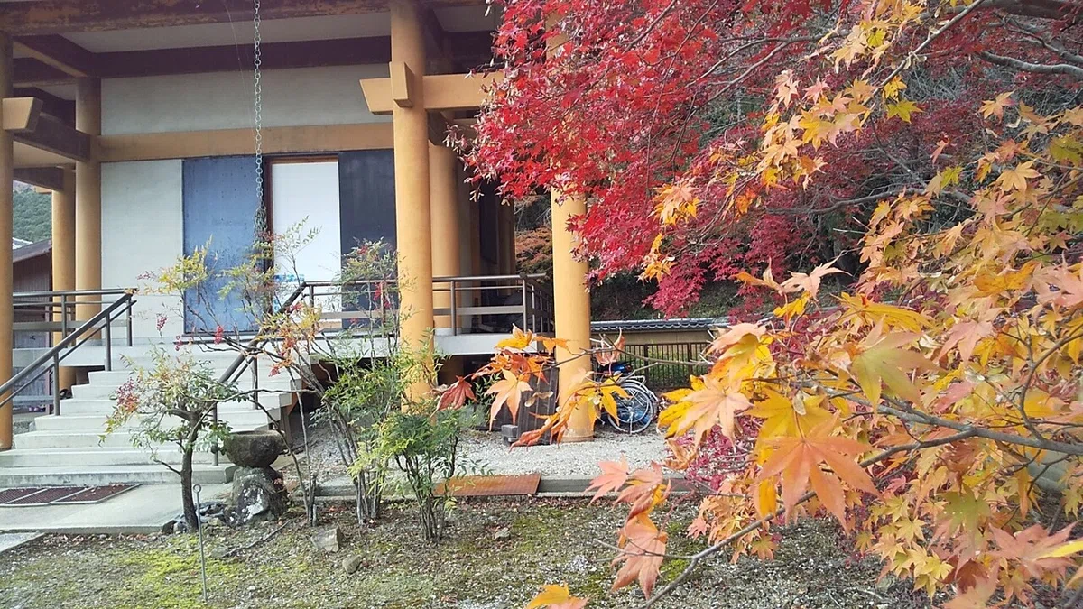 画像6