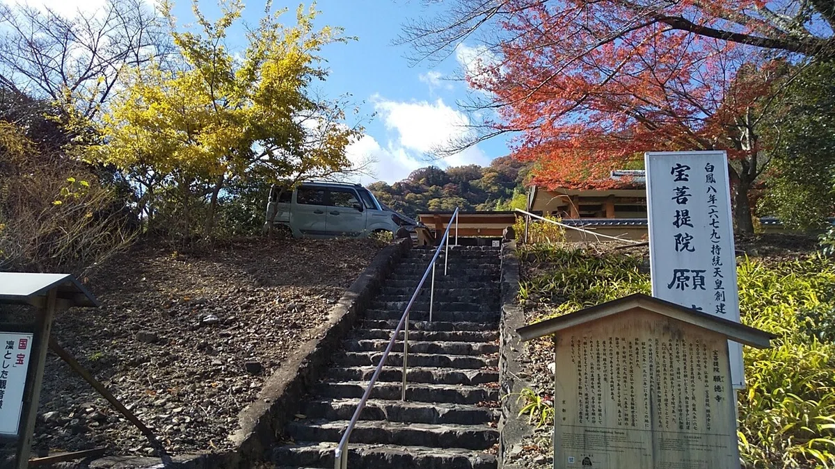 画像8
