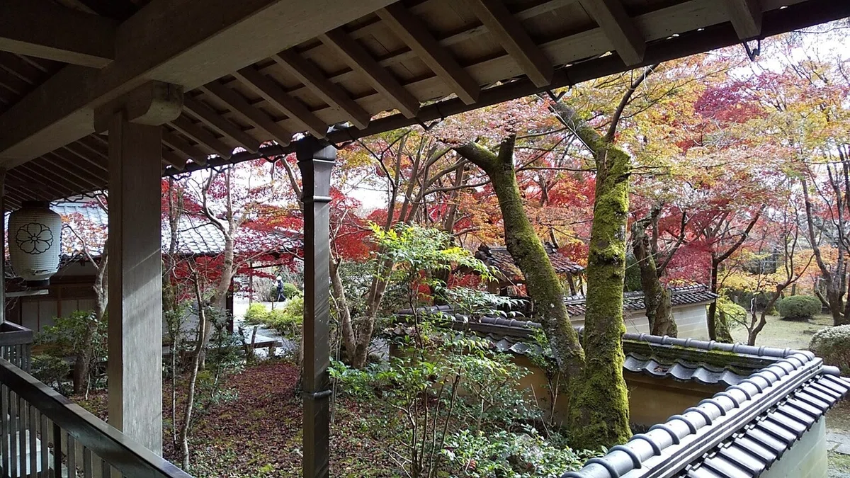 画像11