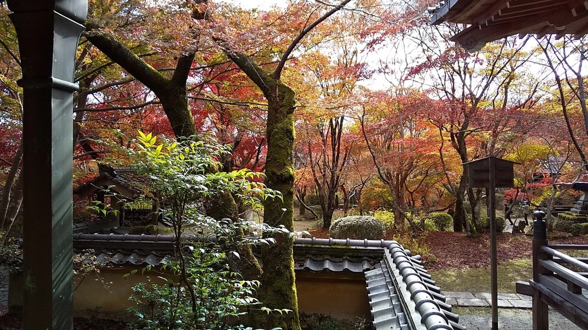 画像12
