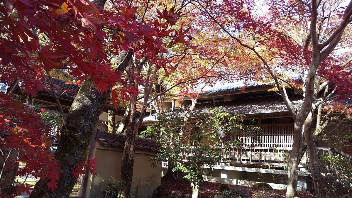 画像14