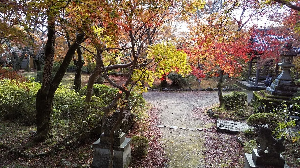 画像16