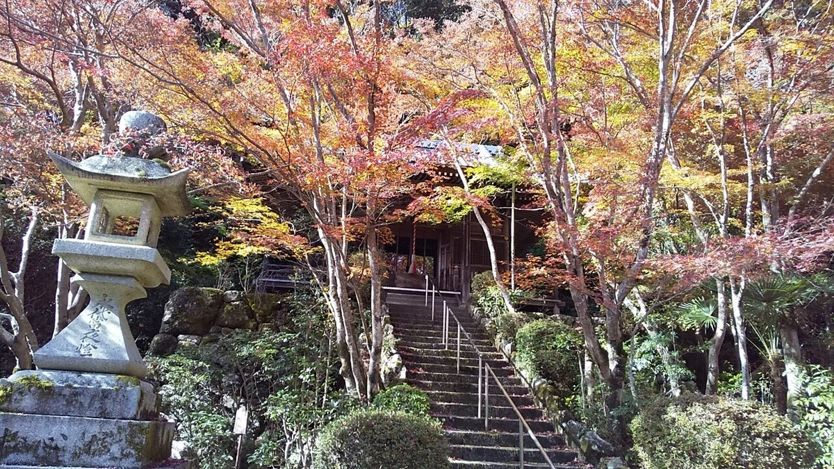 画像17
