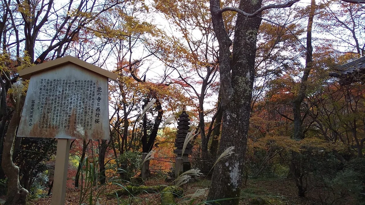 画像22