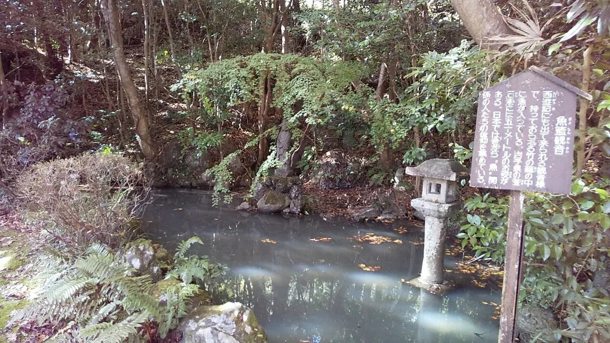 画像23