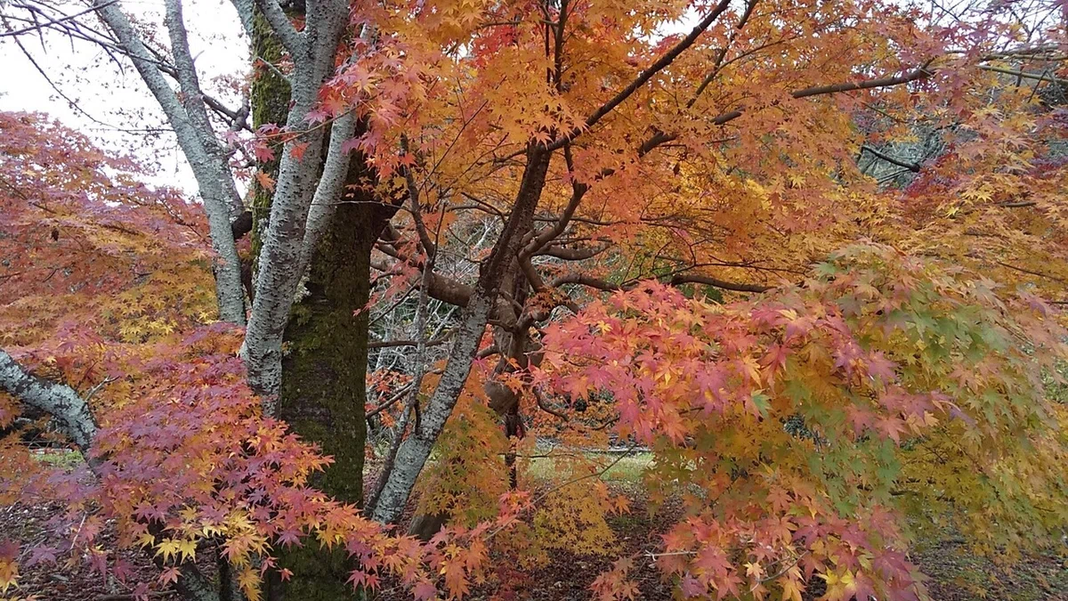 画像26