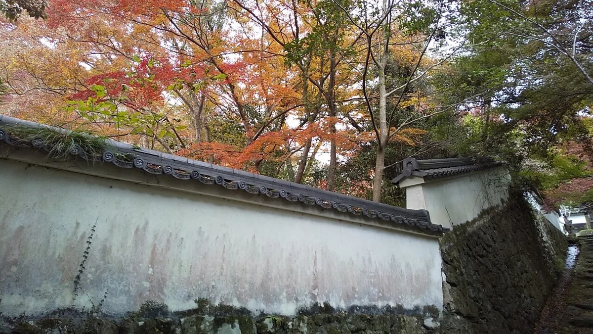画像28
