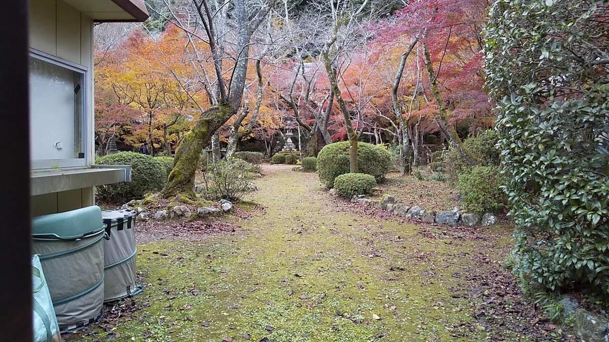 画像29
