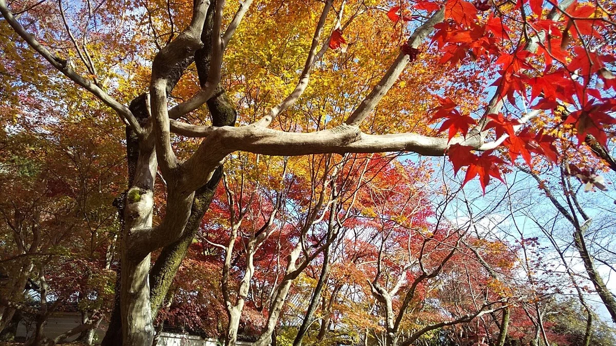 画像31