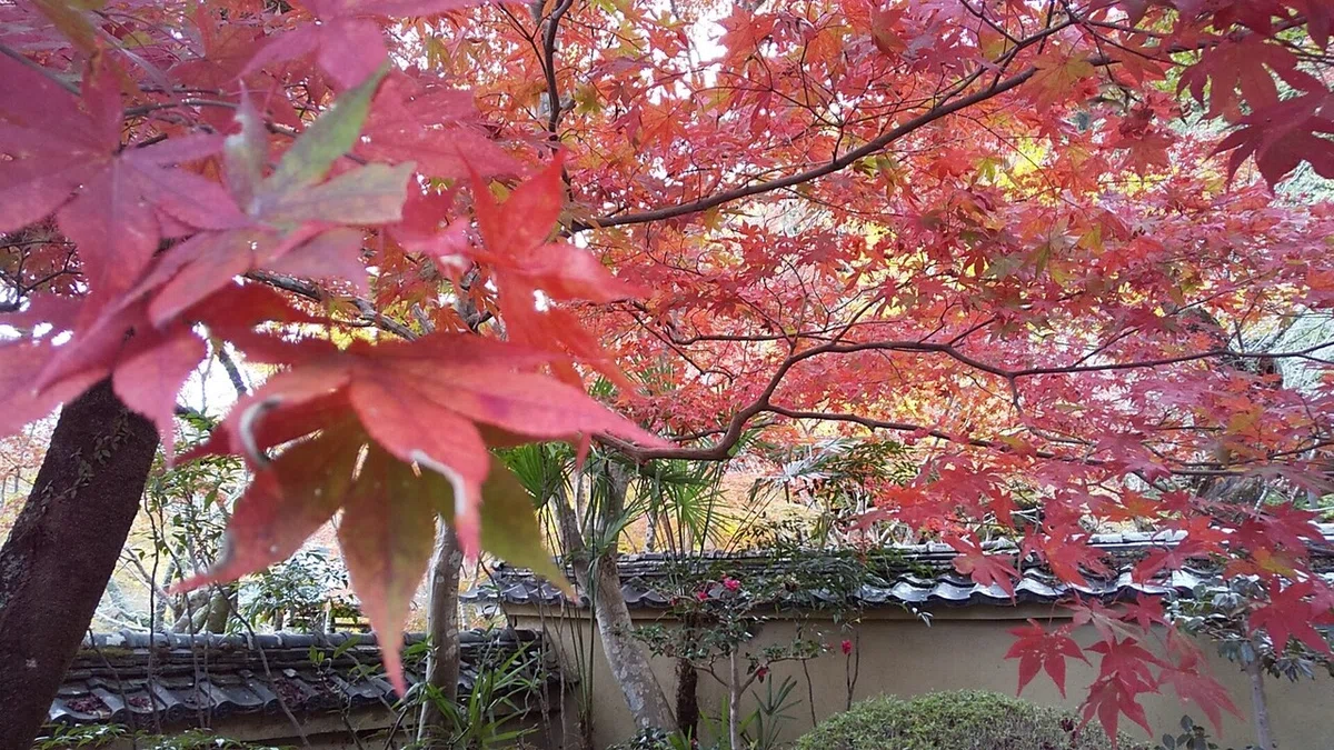 画像32
