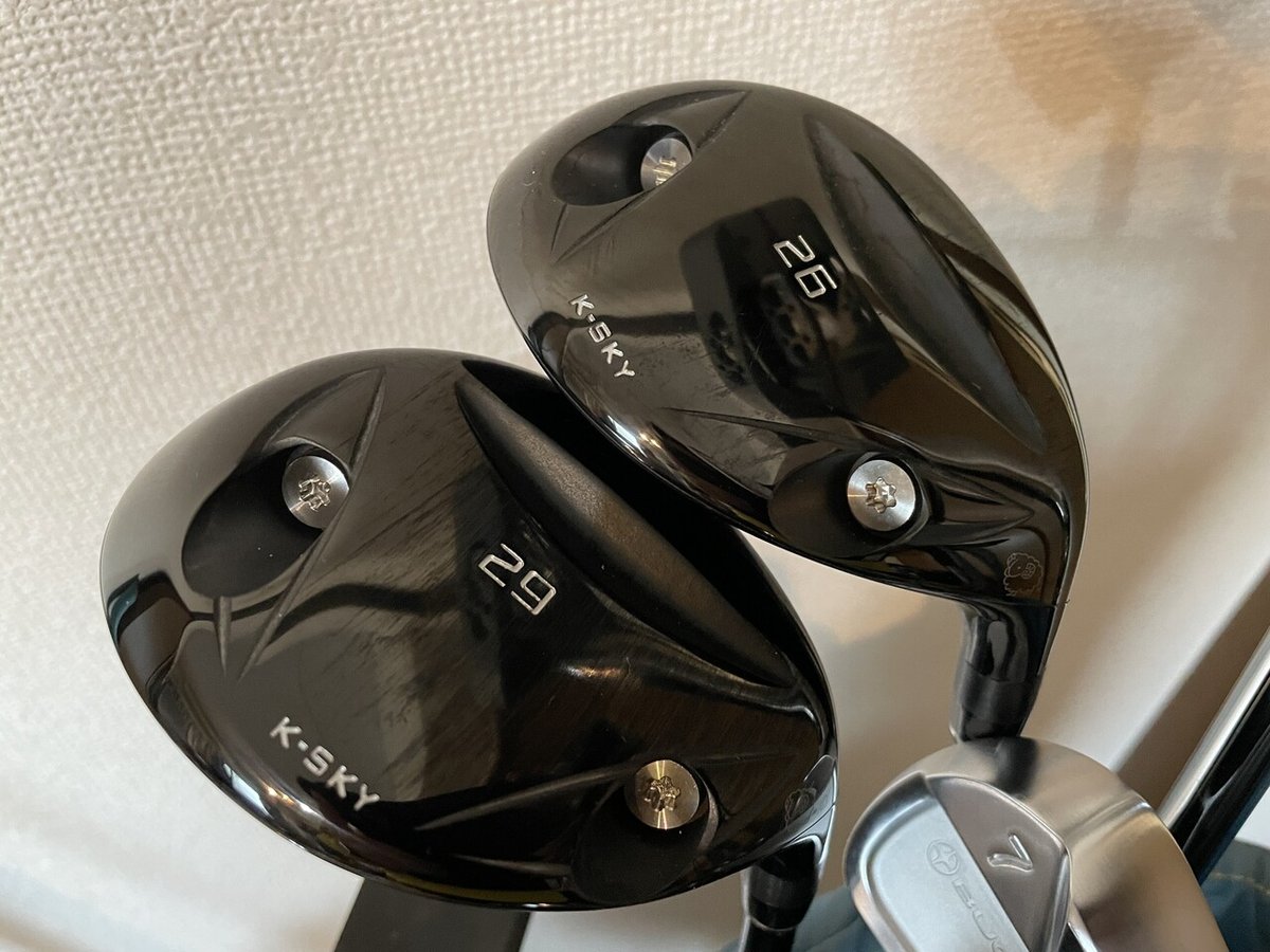 BUCHI VS501アイアン 5〜P VS200ウェッジ 美味 50度56度 DG