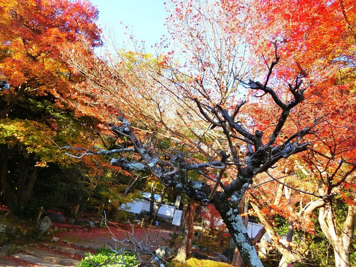 画像2