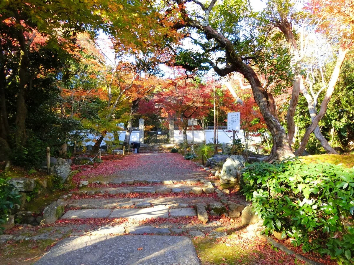 画像5