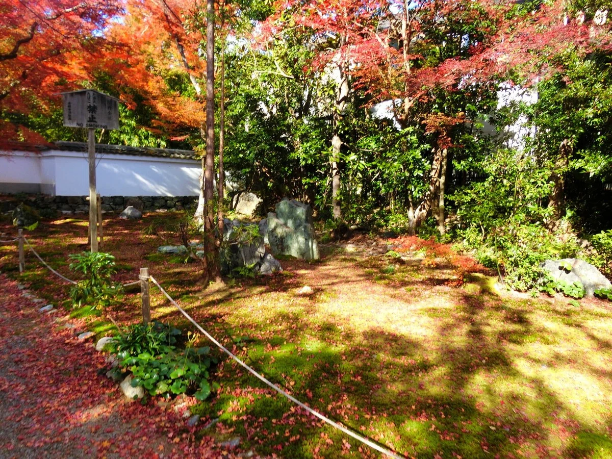 画像11