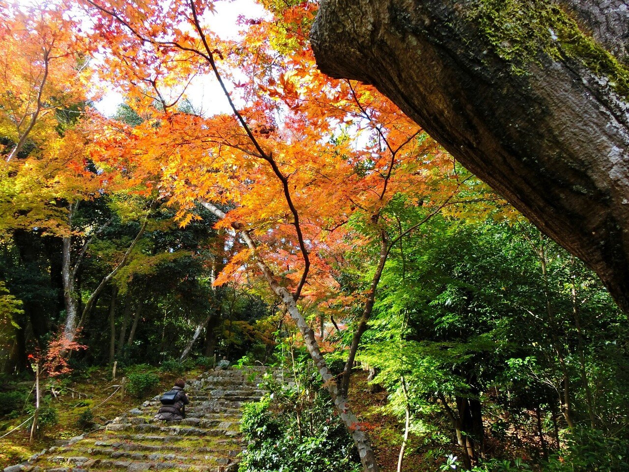 京都いいとこフォト | . 京都のパワースポットの一つ、日向大