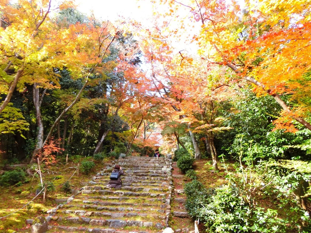 画像14