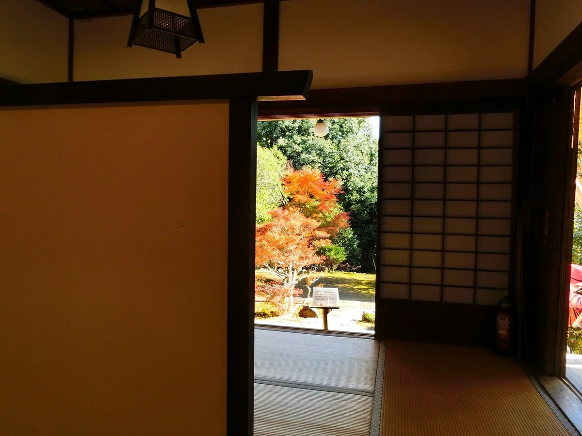 画像21