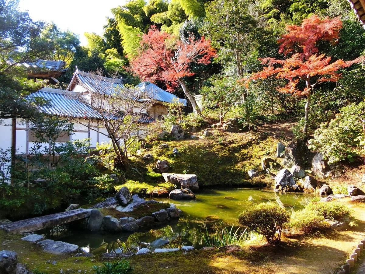 画像24