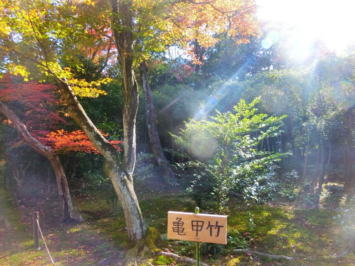 画像28
