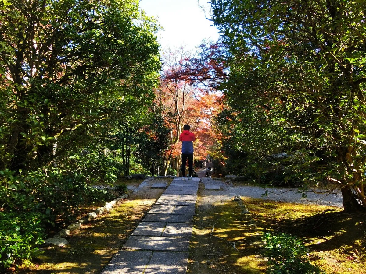 画像31