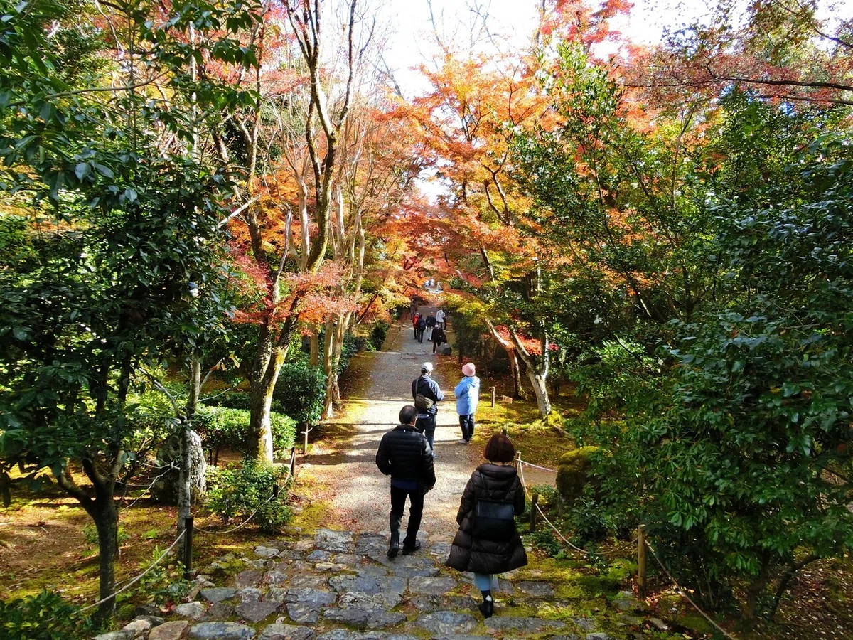 画像32