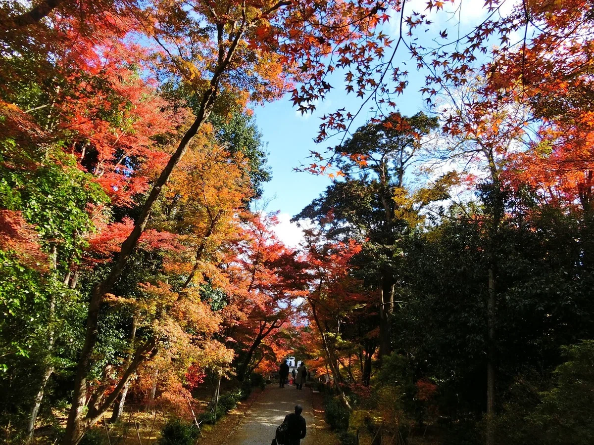 画像33