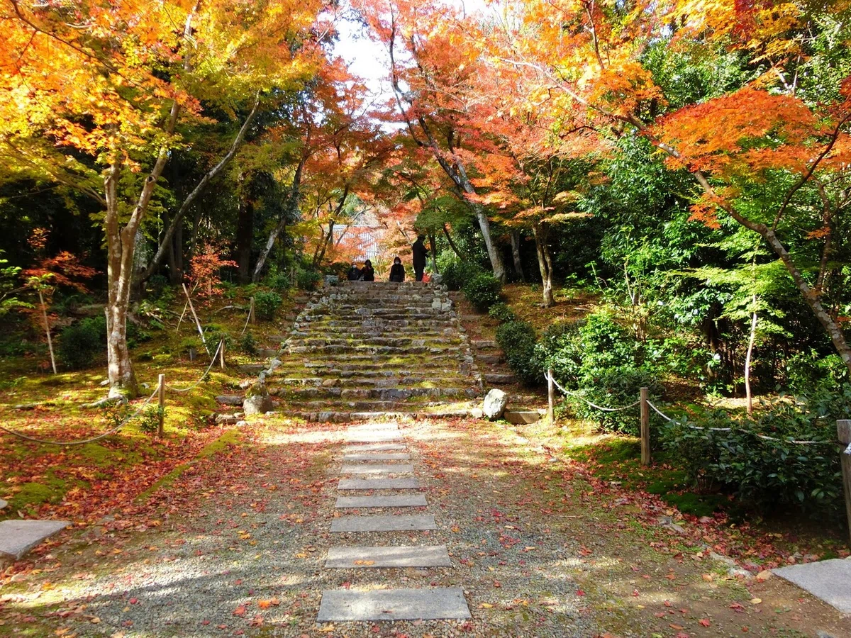 画像40