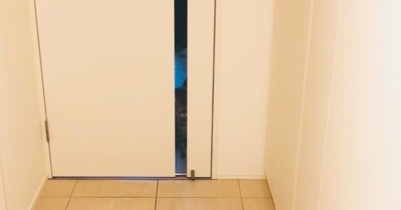 戦慄迷宮 の新着タグ記事一覧 Note つくる つながる とどける 戦慄迷宮 の新着タグ記事一覧 Note つくる つながる とどける