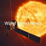 WaterWoodNews-ウォーターウッドニュース-
