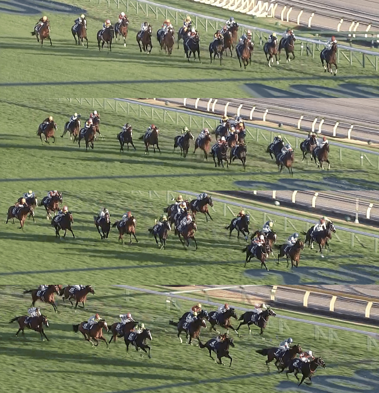 コントレイル ジャパンカップ カプコレ-