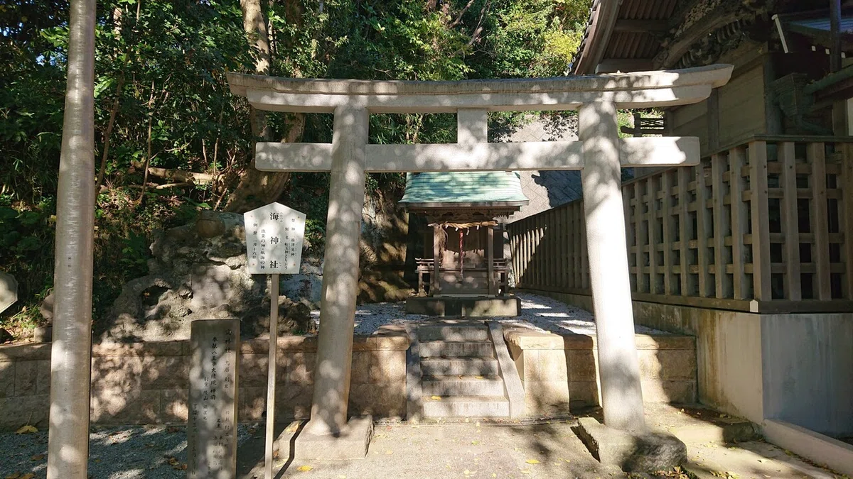 画像5