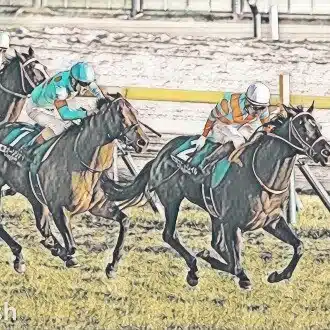 MIZUKI競馬アナリティクス研究所