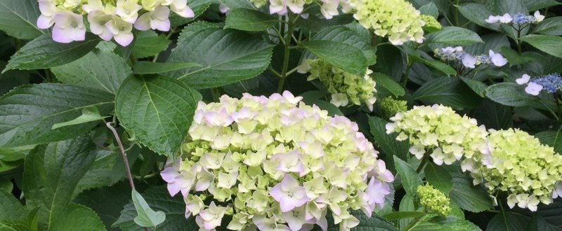 リストアップ はカタカナ英語の名作 三浦陽一 Note