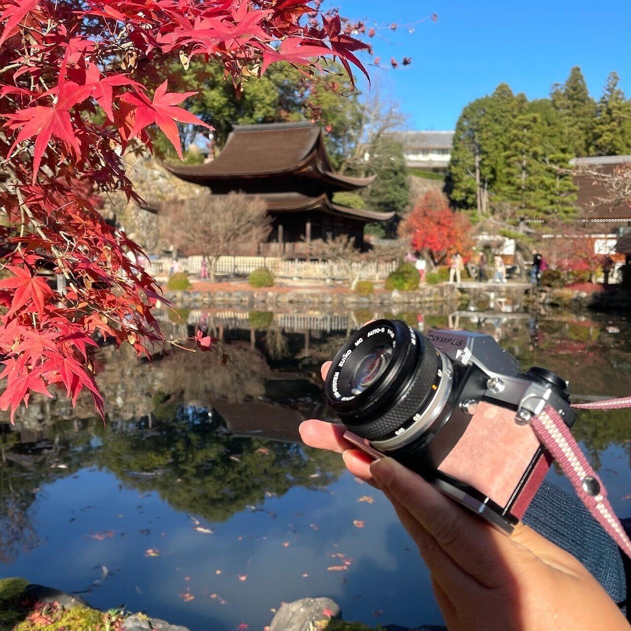 OLYMPUS OM-10の撮影見本｜ごん色カメラ