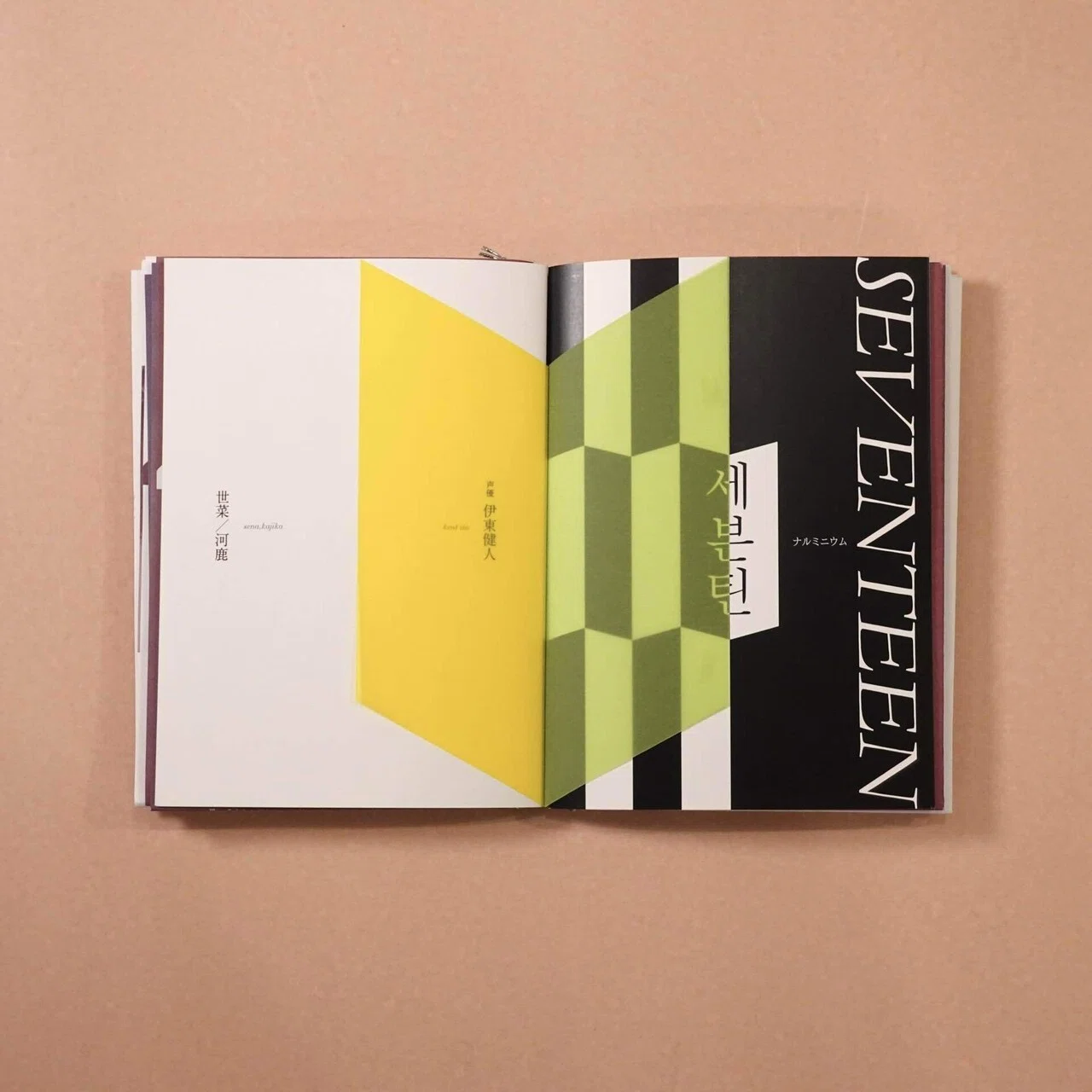 zine『推察』振り返り｜ナルミニウム(麻花兒)
