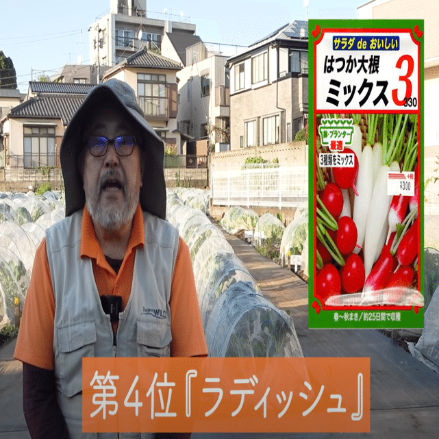 12月家庭菜園で植える野菜ランキングベスト５ 農園で無限栽培できる野菜が続々登場 井上寅雄農園 井上隆太朗 Note