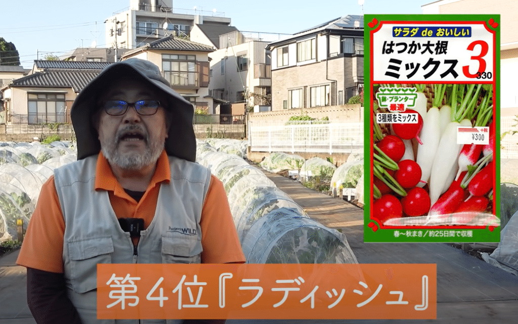 12月家庭菜園で植える野菜ランキングベスト5 農園で無限栽培できる野菜が続々登場 井上寅雄農園 井上隆太朗 Note 12月家庭菜園で植える野菜ランキングベスト5 農園で無限栽培できる野菜が続々登場 井上寅雄農園 井上隆太朗 Note