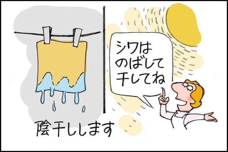 玉ねぎの皮で染める おいしい染色 Note