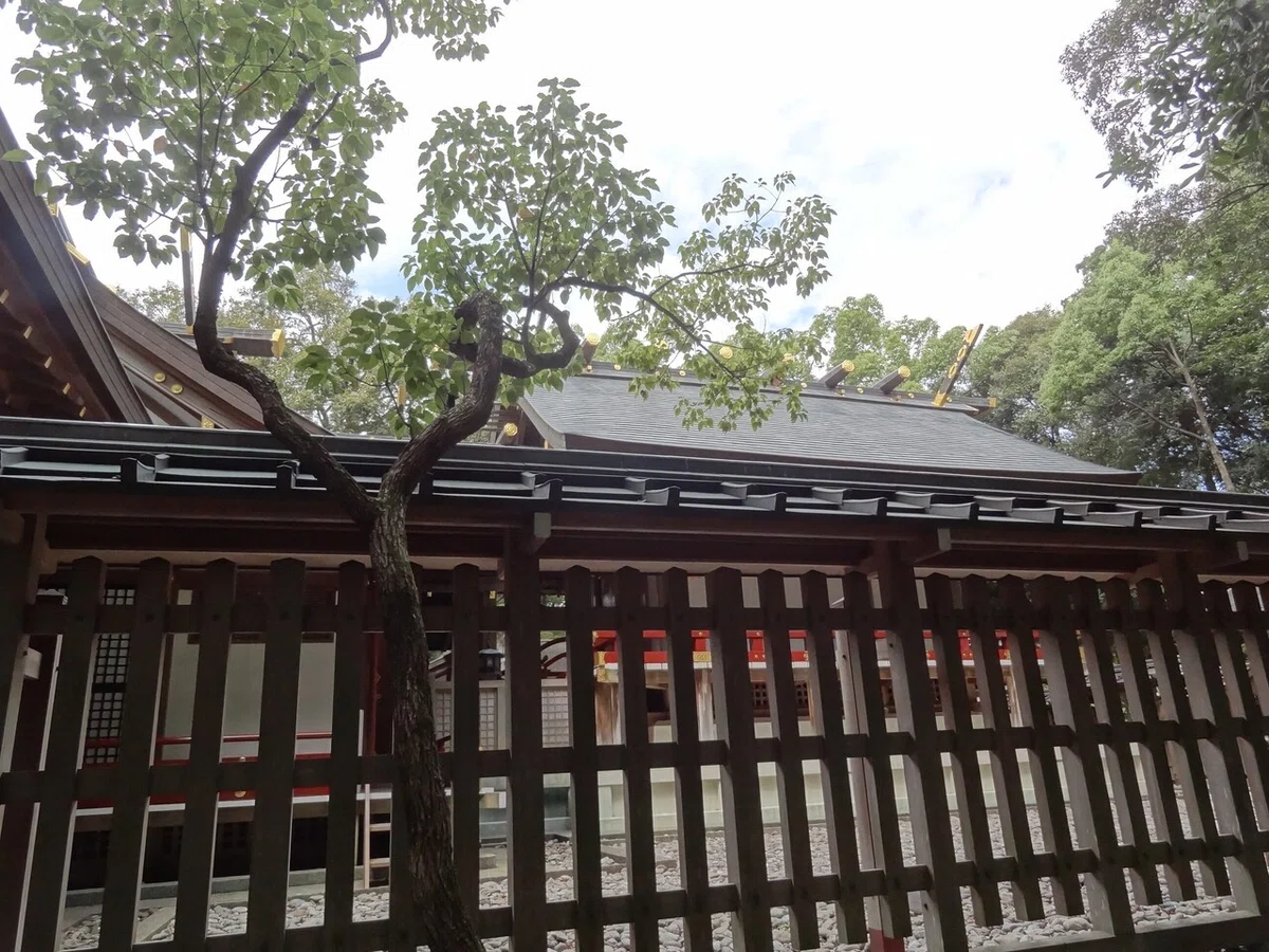 画像7