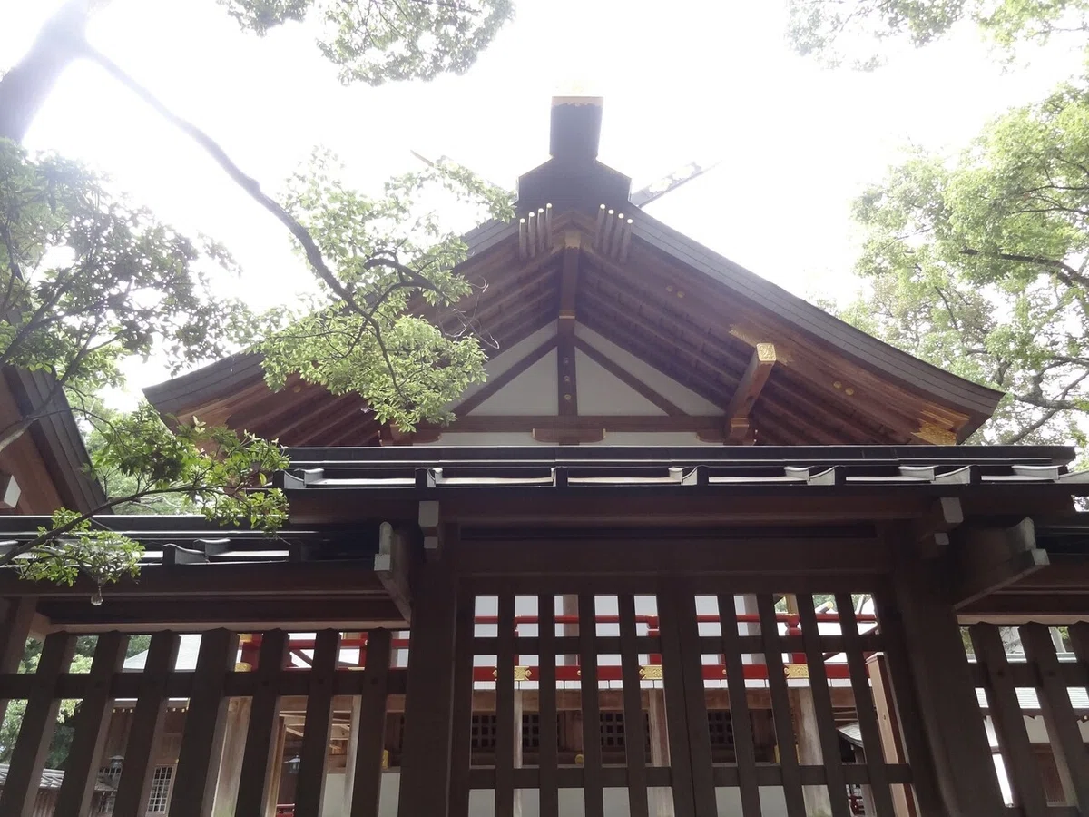 画像8
