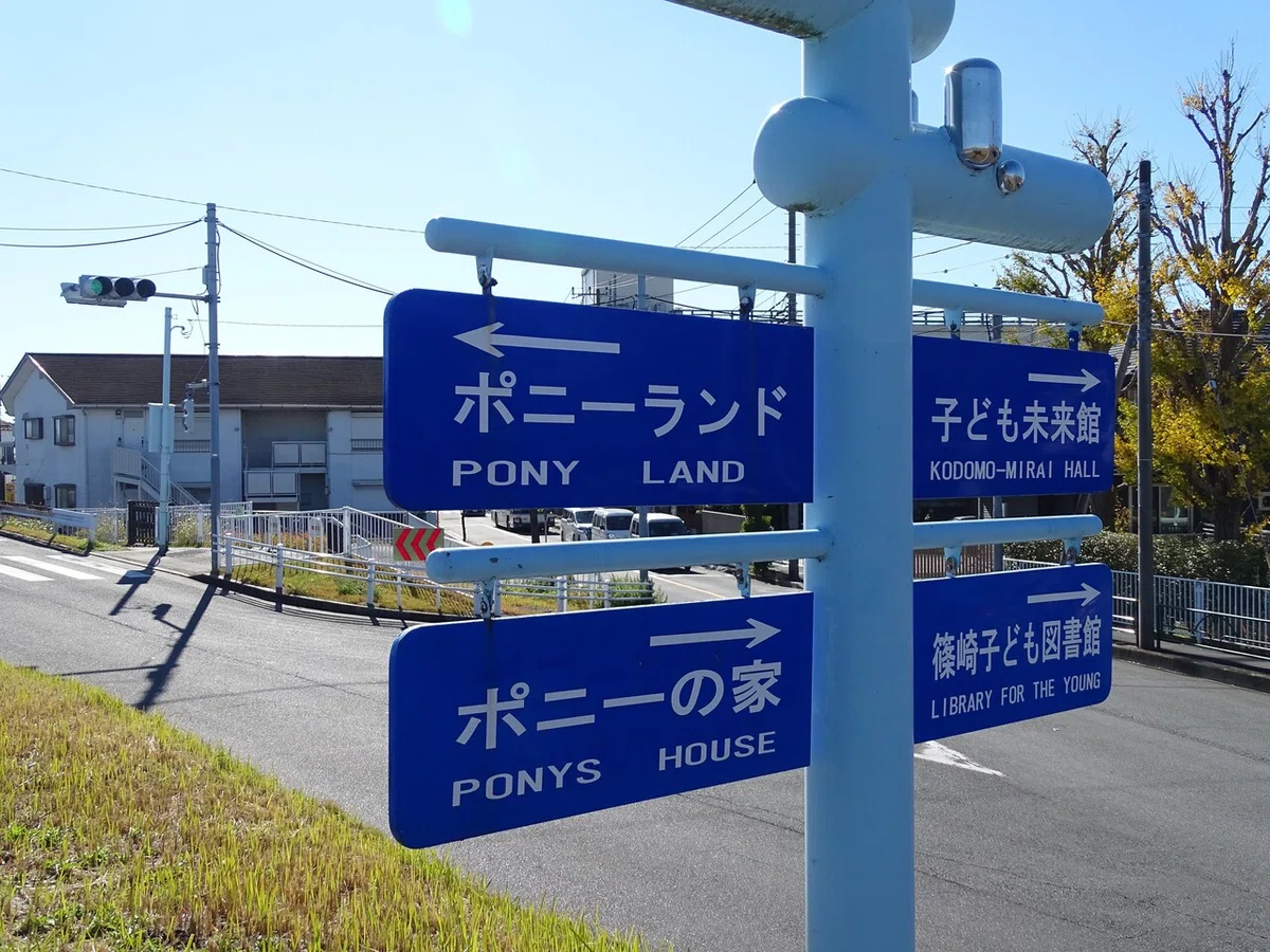 画像7