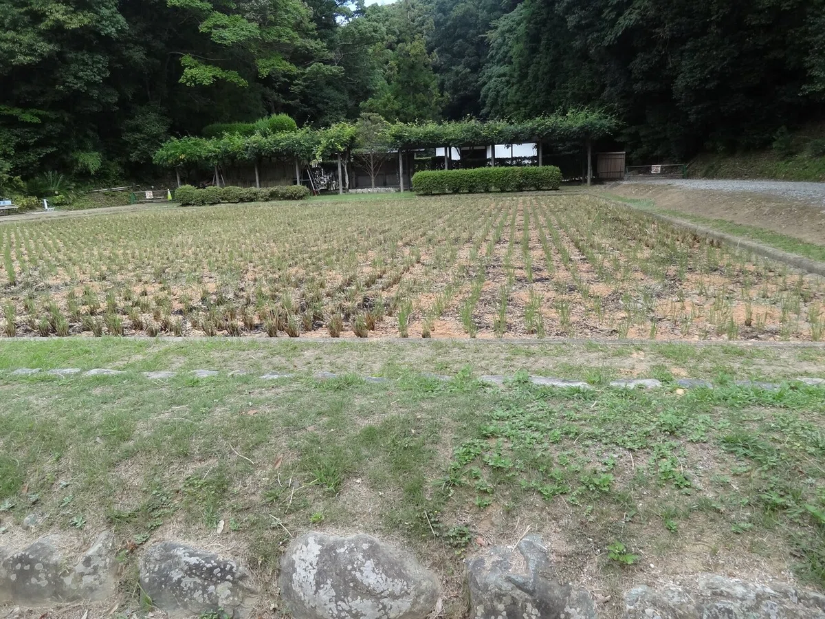 画像11
