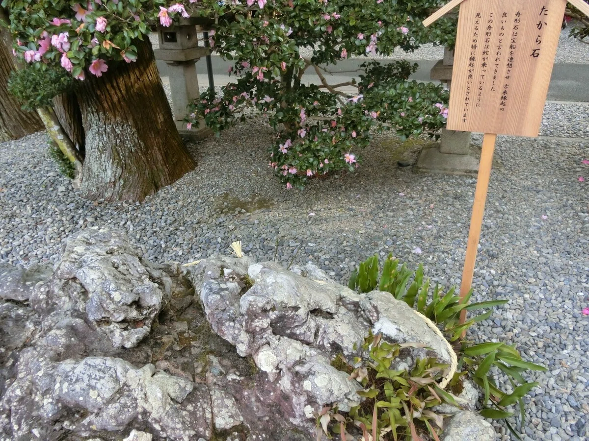 画像15